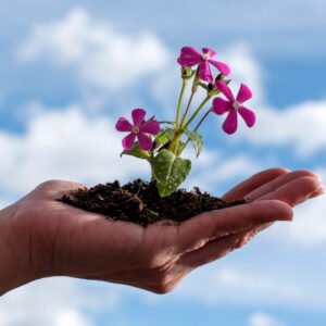 Indicadores de desarrollo personal y social